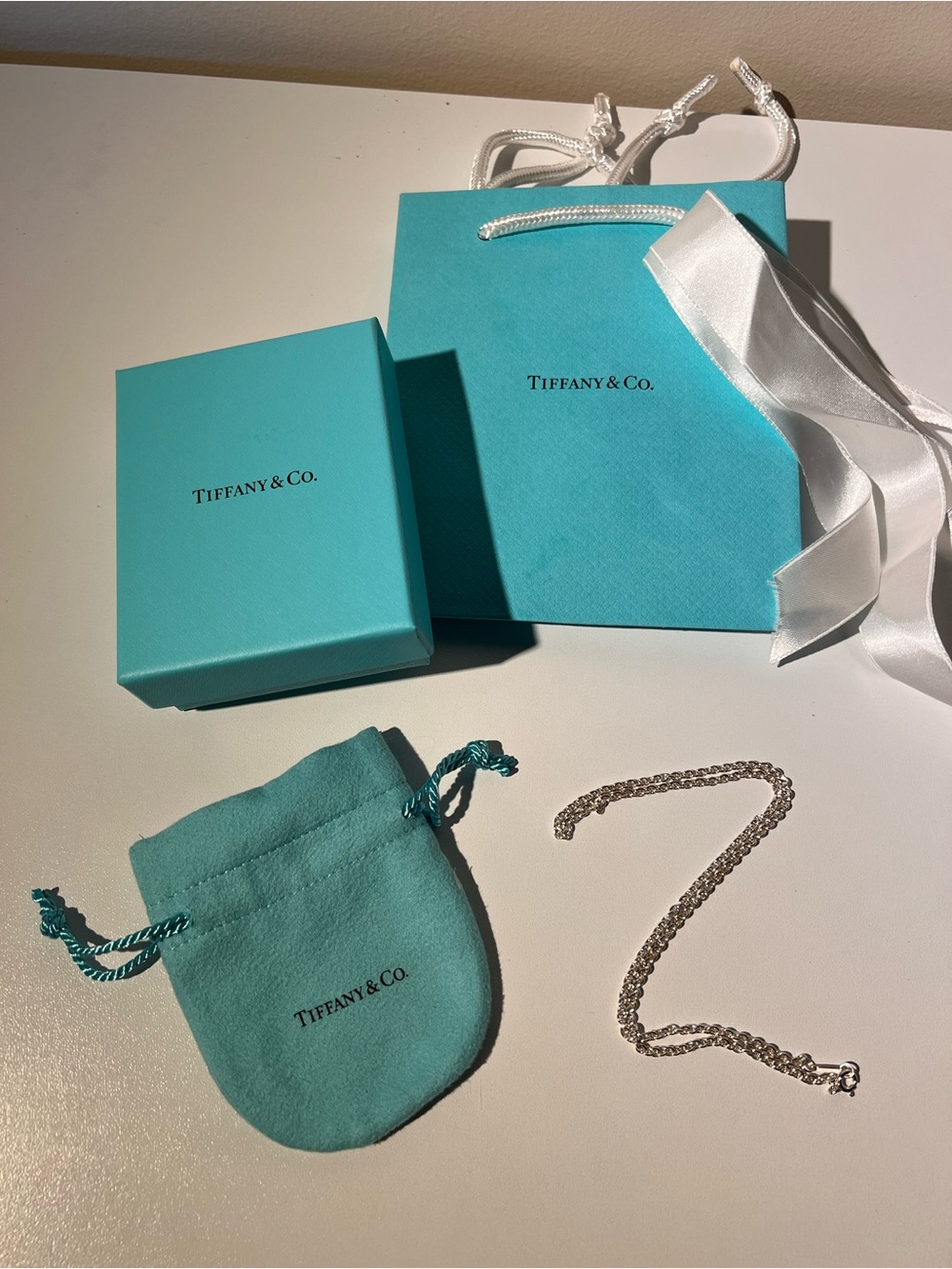 Tiffany & Co. Sterling Silver Large Pendant Chain Necklace